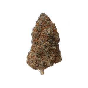 Mango Fire CBD Blüte